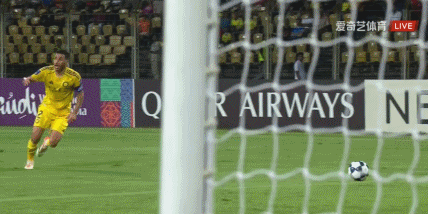 韦斯利, 纳贾尔, cn